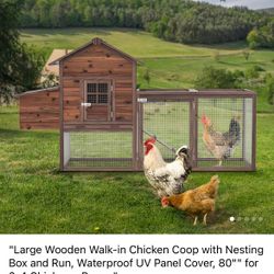 Large Chicken Coop