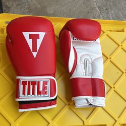 Title Classic Boxing Gloves 