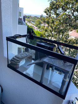Aquarium  all together