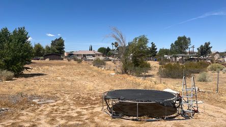 Trampoline.