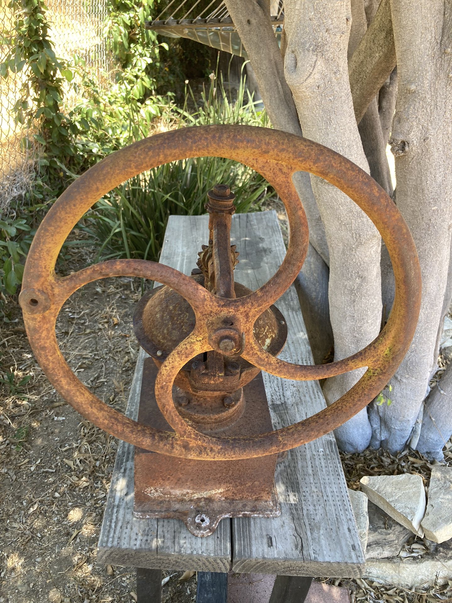 Antique Grinder