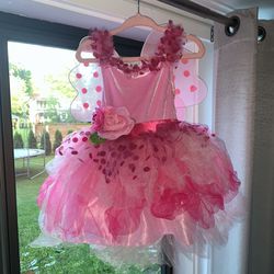 Fairytale Pink Dress With Wings Size 12-24m