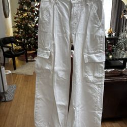 Gap Ladies Pants Size 25