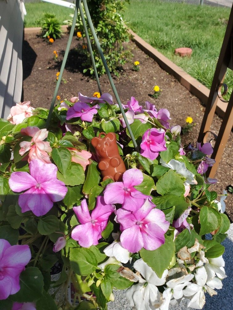 3D Printed Gummy Bear
