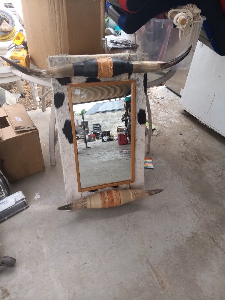 bull horns mirror