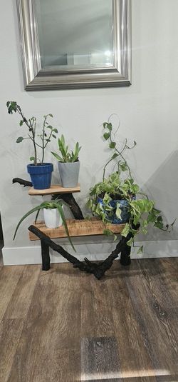 Plant Stand/Shelf