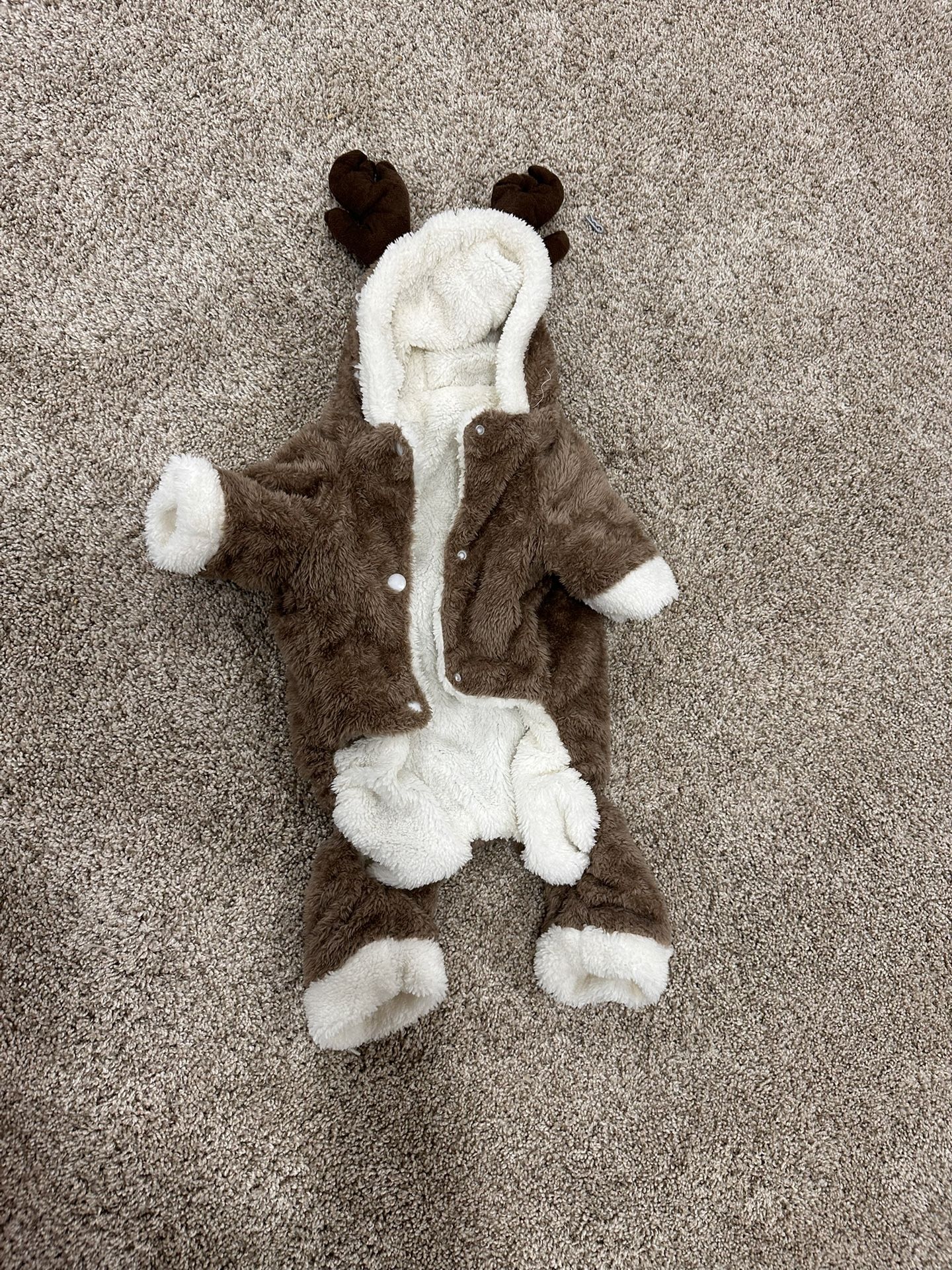 Halloween: Deer Dog Custom.