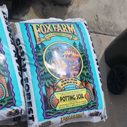 Succulents Plants Soil The Best For Healthy Succulents And Cactus Pick Up In Upland 