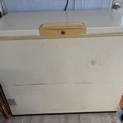 Freezer Chest Style