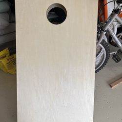 Regulation bags game