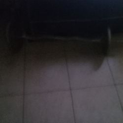 Curling Bar  and 50lbs.....100 Bucks Cash