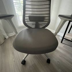 Adjustable Desk Chair 