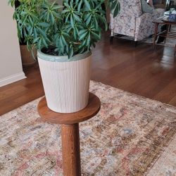 Oak Plant Stand with Cast Metal base and Schefflera Plant Included