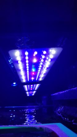 Reef tank light only 2 years old