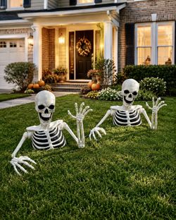 Halloween Skeleton Yard Decorations