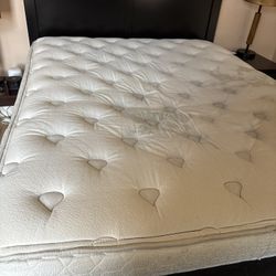 Seally Queen Mattress 