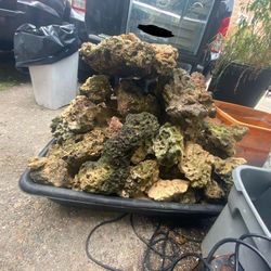 Dry Rock For Sale 