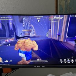 24” PC Gaming Monitor - PAIR DUAL (Curved) 