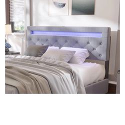 Caidi Queen Bed Frame