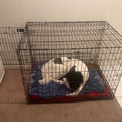 Large Dog Cage 