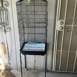 birds cage