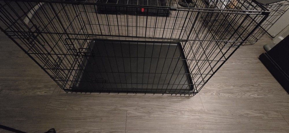 Dog Kennel