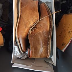 Steven Madden Shoes  Size 10