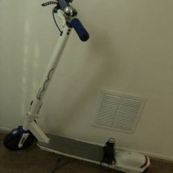 NEED GONE I WILL TRADE