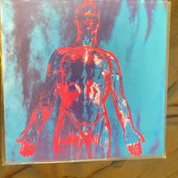 Nirvana Sliver Vinyl 