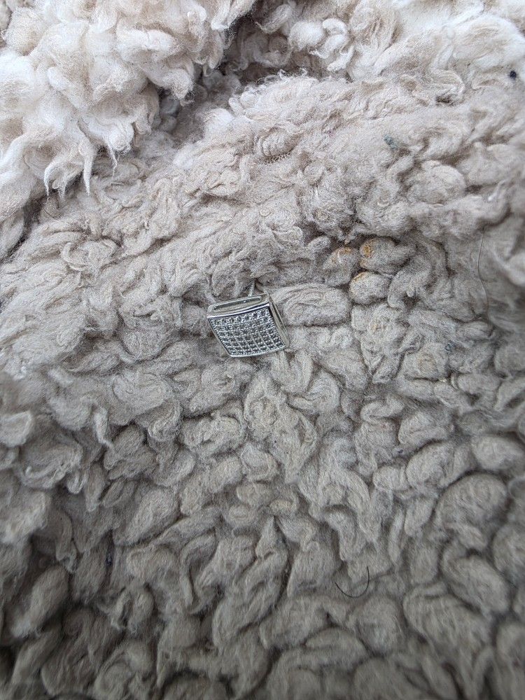 Stainless Steel Dimond Earing 