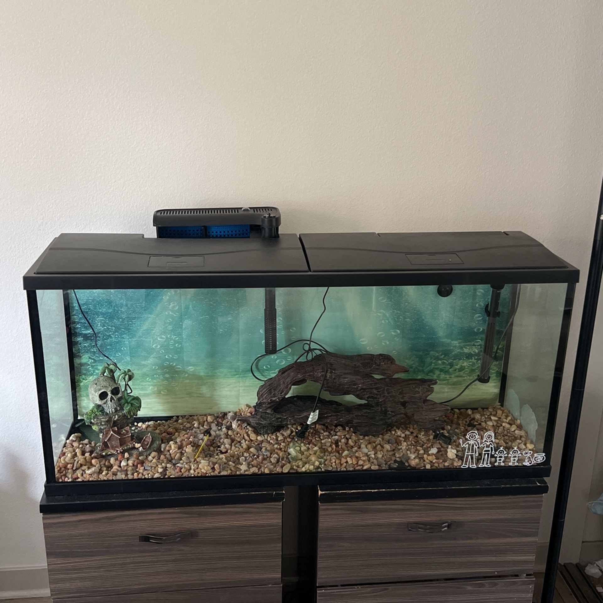 Full Starter Up Fish Tank Ready To Go