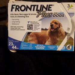 Dog Flea Treatment 