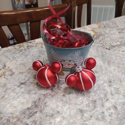 Disneyland Christmas Mickey&Minnie Ornaments