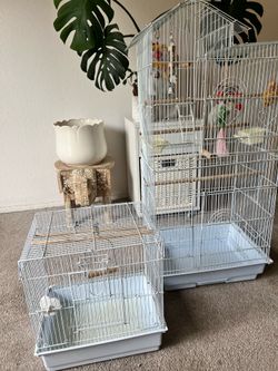 Decorative White Bird Cages – Great Condition