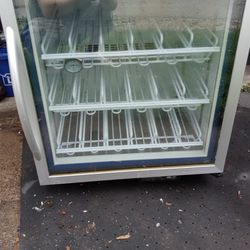 Minus Forty  Glass Door Freezer