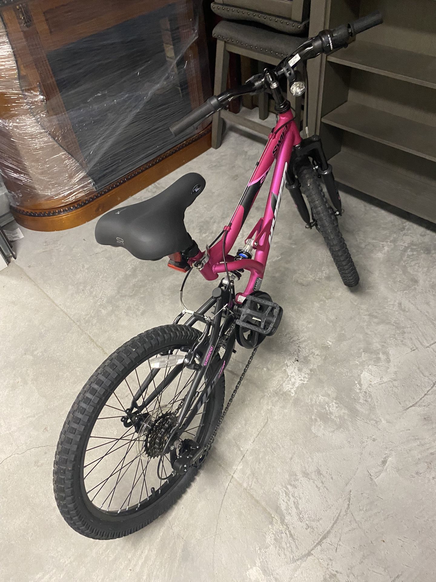 20 Inch Bike