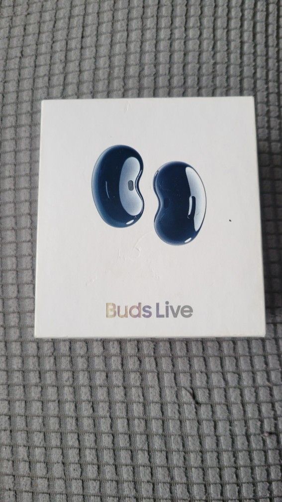 Samsung Ear Buds