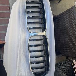 BMW Grille 