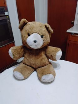 24" Tall  teddy bear