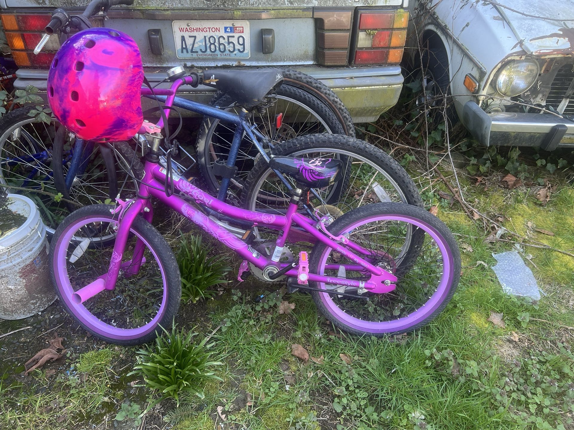 20” Girls Kent BMX Bike