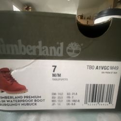 Toddler Timberland Shoes 