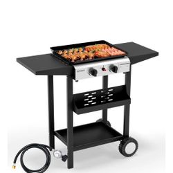 Parrilla De Gas Propano 