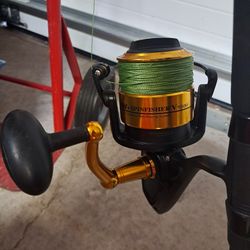 Penn Spinfisher 9500 on a 12' Rod