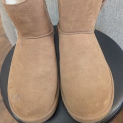 Ugg Boots And Birkenstock Boston 