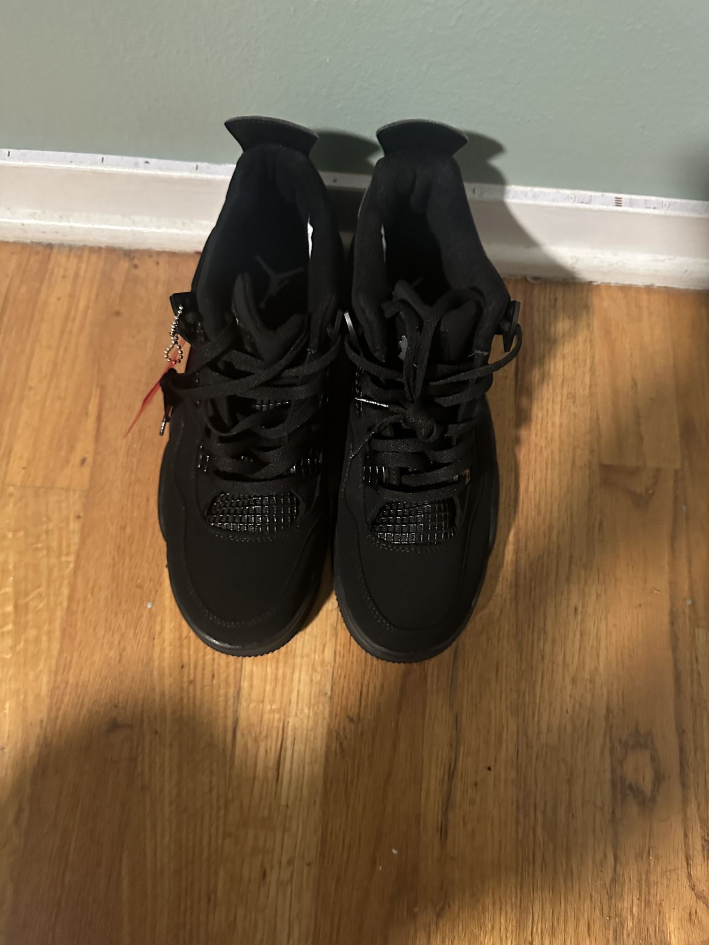 Black Cat 4s