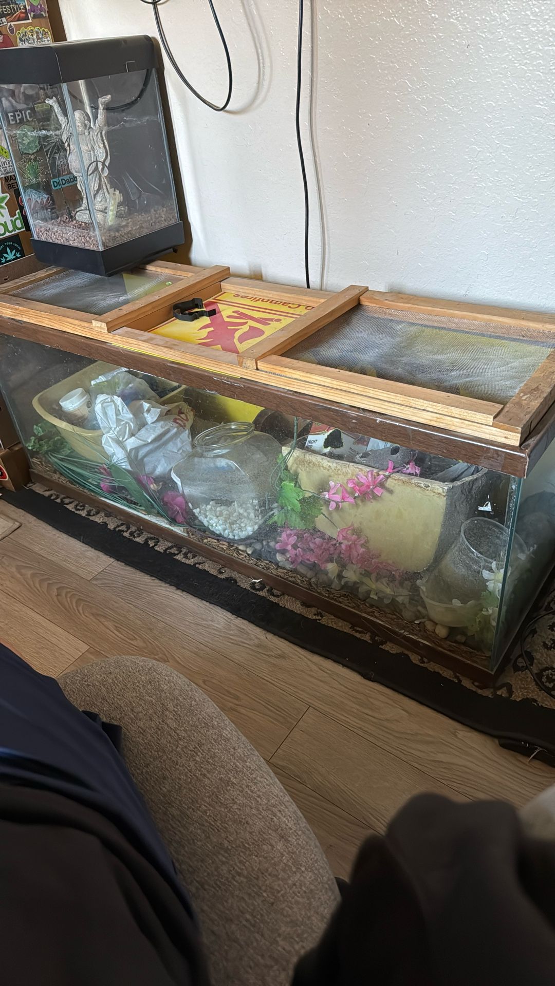Fish Tank/ Terrarium