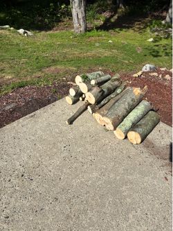 Logs