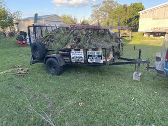 Tree Company