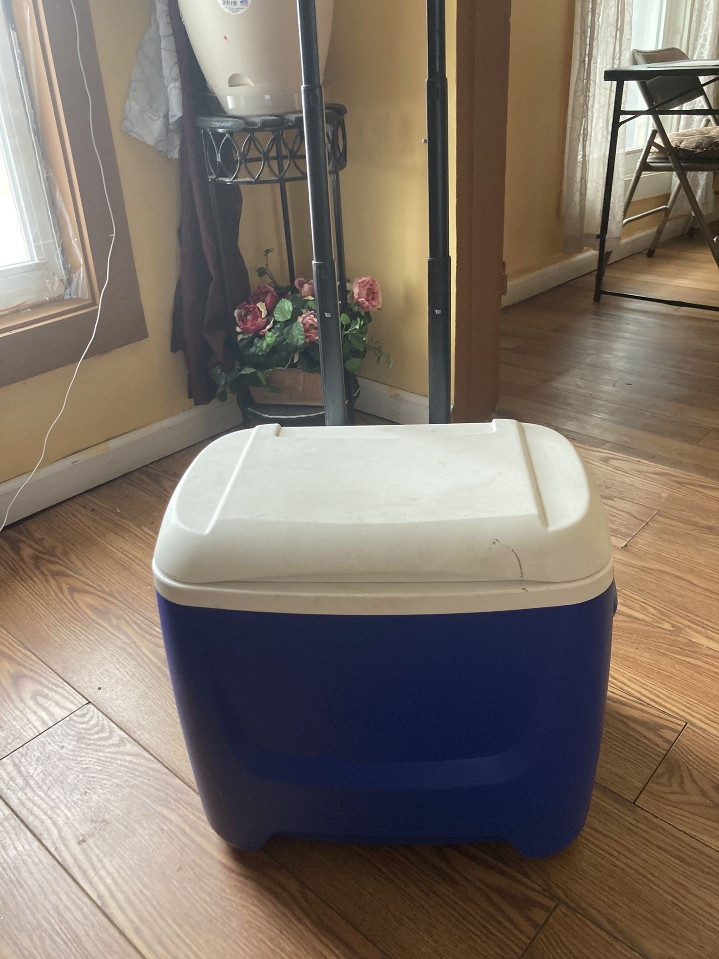 Cooler With Wheels