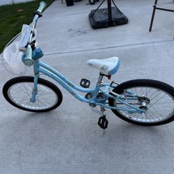 Trek Kids' Bicycle